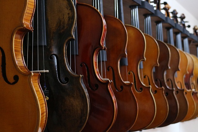 Violin Lessons At Kamata